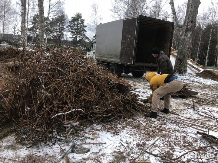 Сдать металл Вывоз Самовывоз Демонтаж