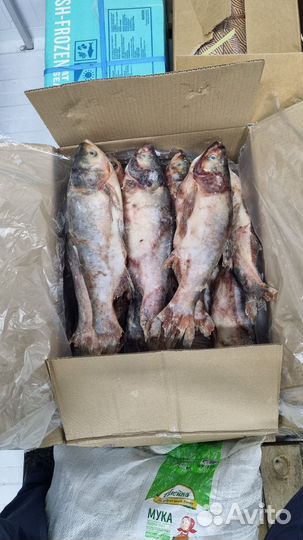 9 Рыба и Морепродукты. Доставка, Розница