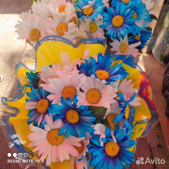 Букеты из ромашек