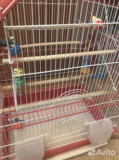 Клетка для попугая бу
