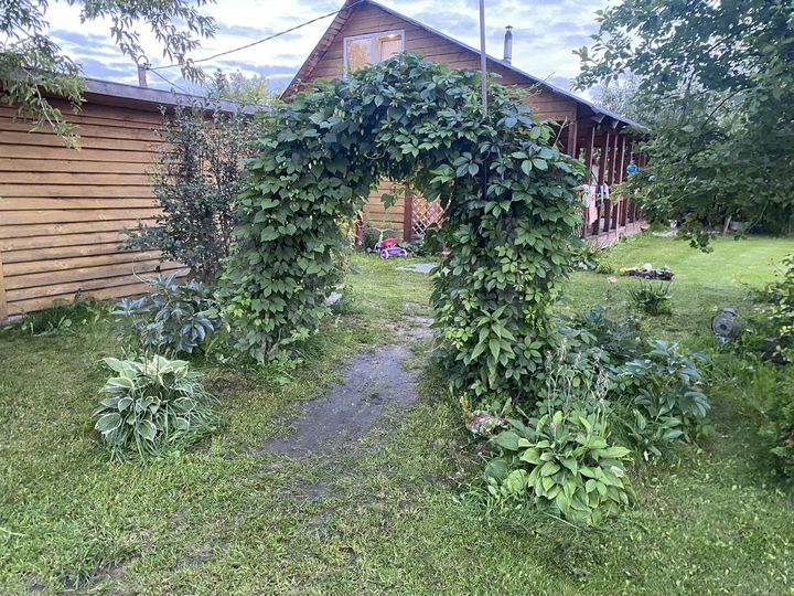 Дача 48 м² на участке 12 сот.