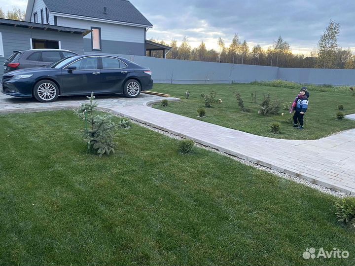 Рулонный газон премиального качества