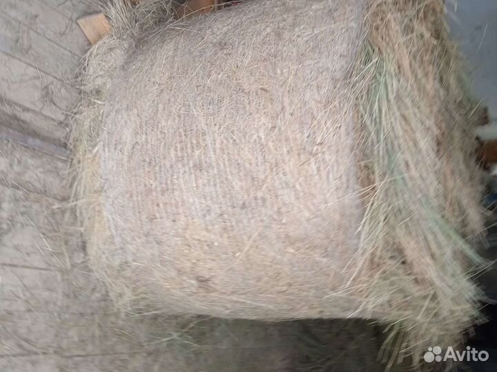 Предлагаю приобрести сено с доставкой от одного ру