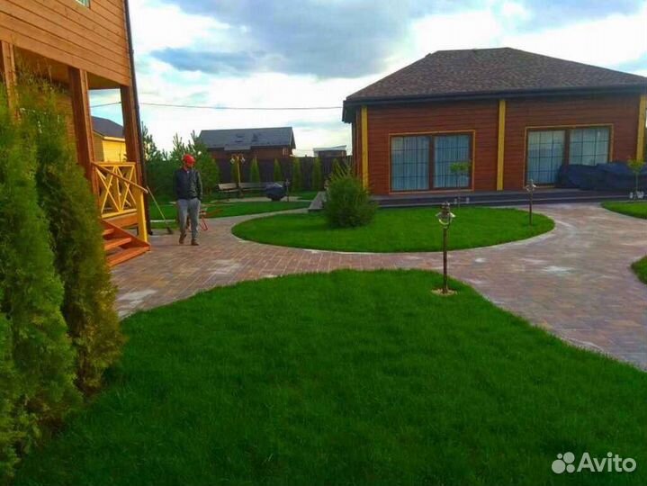 Рулонный газон элитный