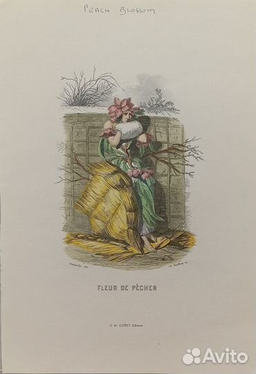 Винтажные иллюстрации Ожившие цветы Гранвиль