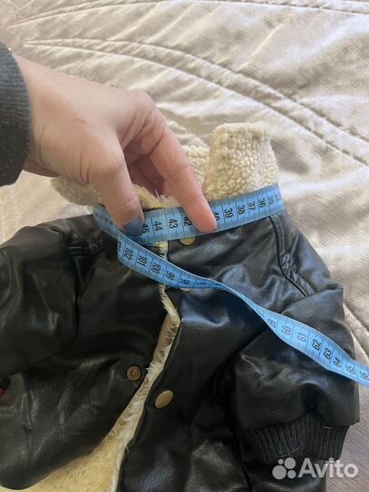 Одежда для собак