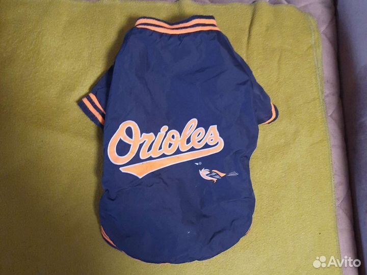 Одежда для маленьких собак бу