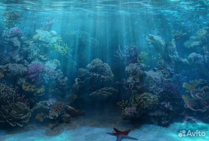 Фон. Обои для аквариума. Задняя картинка. Декор