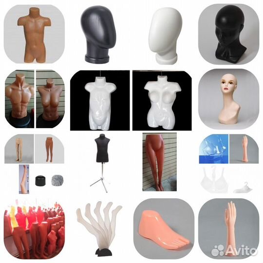 Пластиковые торсы