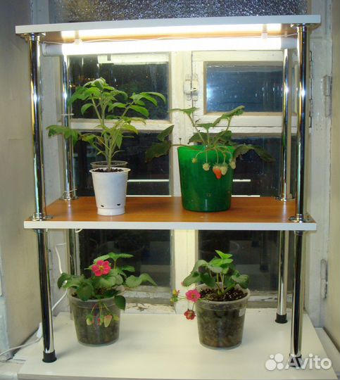 Стеллаж с подсветкой для рассады, цветов