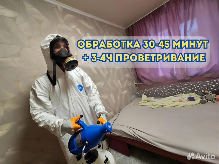 Дезинфекция. Уничтожение насекомых, плесени