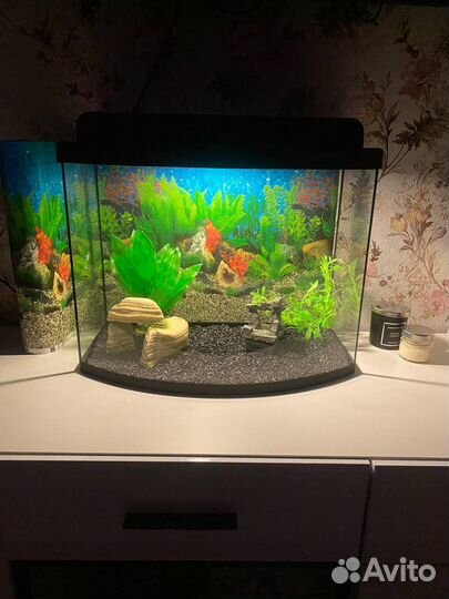 Аквариум 40 литров