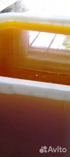 Липовый мед доставка по РФ от 15кг