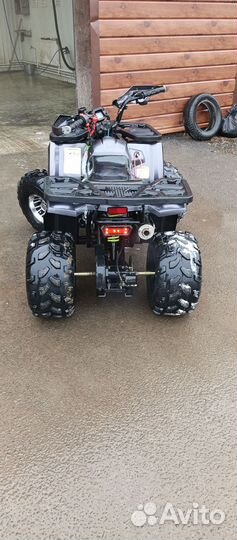 Wild 125