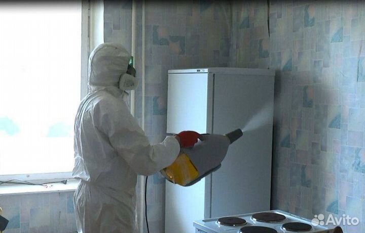 Средство для Уничтожения клопов, тараканов, крыс Дезинфекции