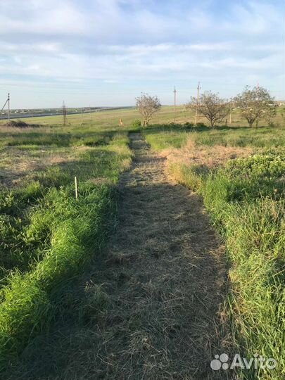 Вспашка земли минитрактором