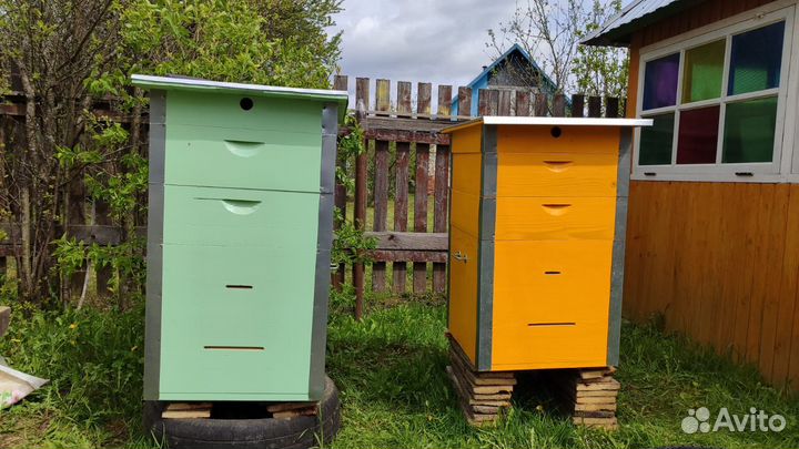 Пчелиный улей