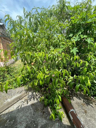 Дом 100 м² на участке 15 сот.