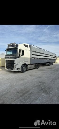 Перивозка / крс / мрс