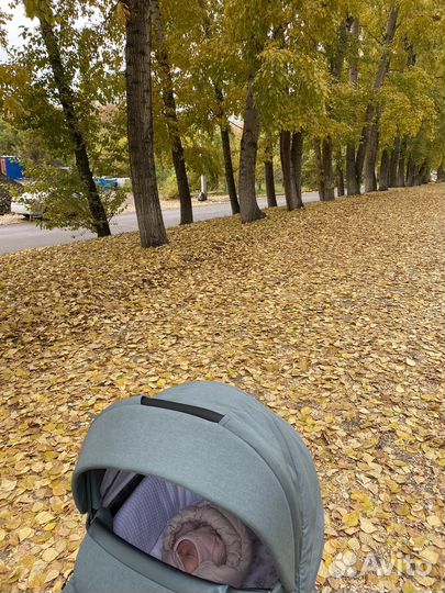 Коляска tutis uno 3 plus 3 в 1