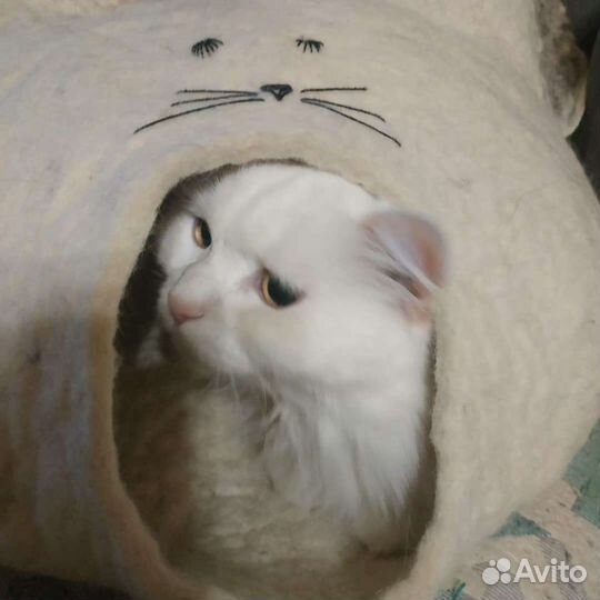 Домик для кошки