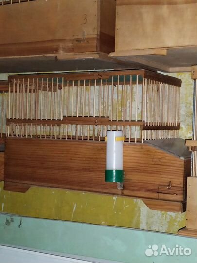 Клетки для птиц деревянные