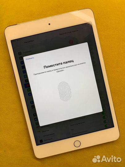 iPad mini 4 cellular