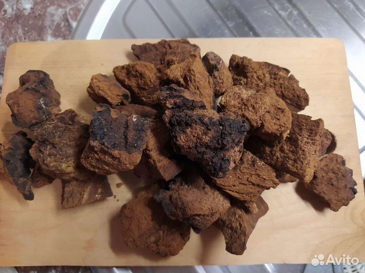 Березовый гриб чага