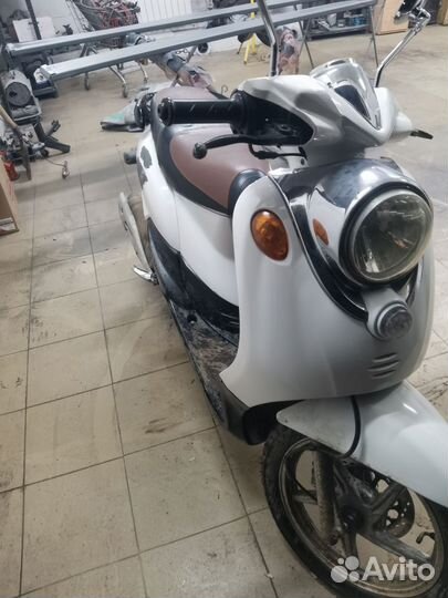 Irbis prometey 150