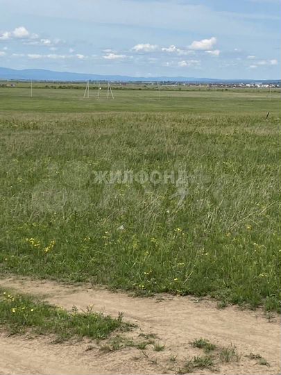 Участок 12,5 сот. (ИЖС)