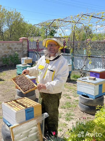 Мед натуральный(цена за 3л банку)разнотравье Крым