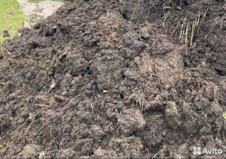 Навоз и перегной конский, коровий с доставкой