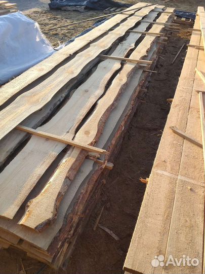 Доска необрезная сосна