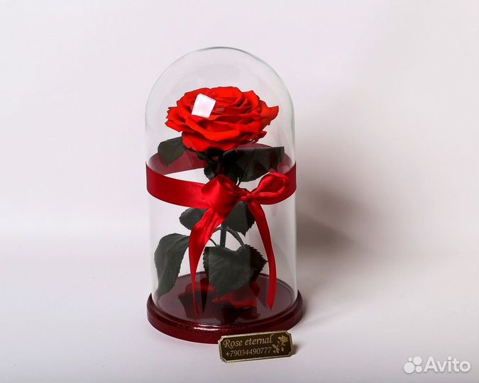 Подарок девушке/ Роза в колбе