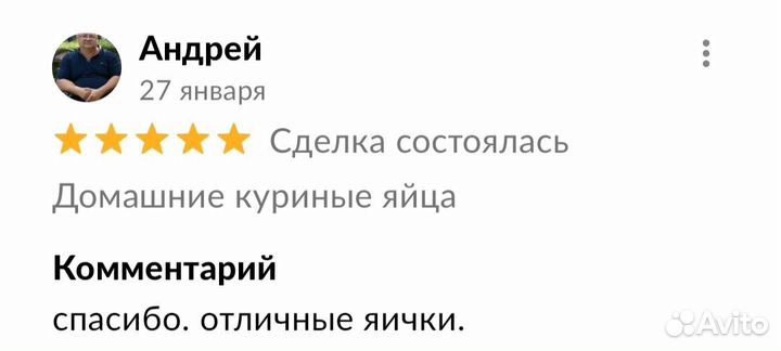 Домашние куриные яйца