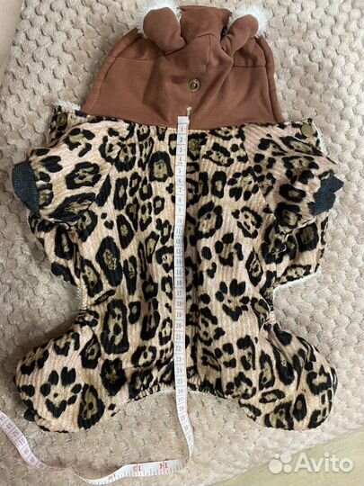 Одежда для маленьких собак