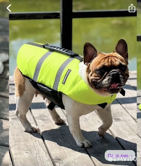 Жилет для животных спасательный