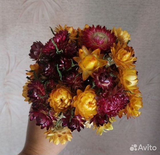 Сухоцветы букеты