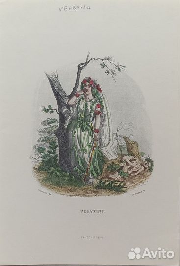 Винтажные иллюстрации Ожившие цветы Гранвиль