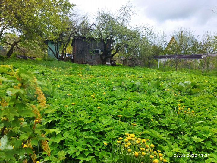 Дом 47,6 м² на участке 12 сот.