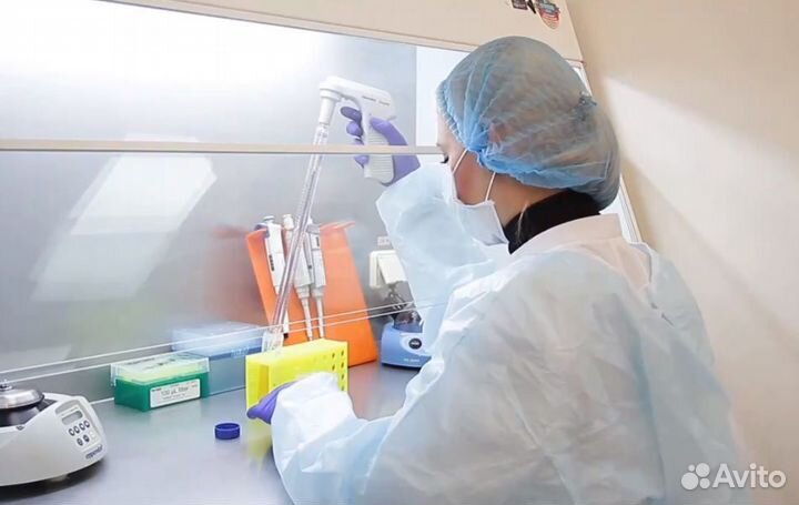 Уничтожение клопов тараканов блох крыс мышей