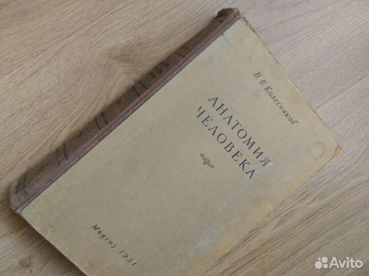 Анатомия человека