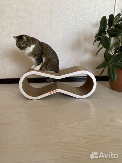 Картонная когтеточка