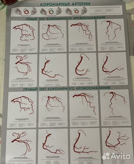 Медицинские плакаты