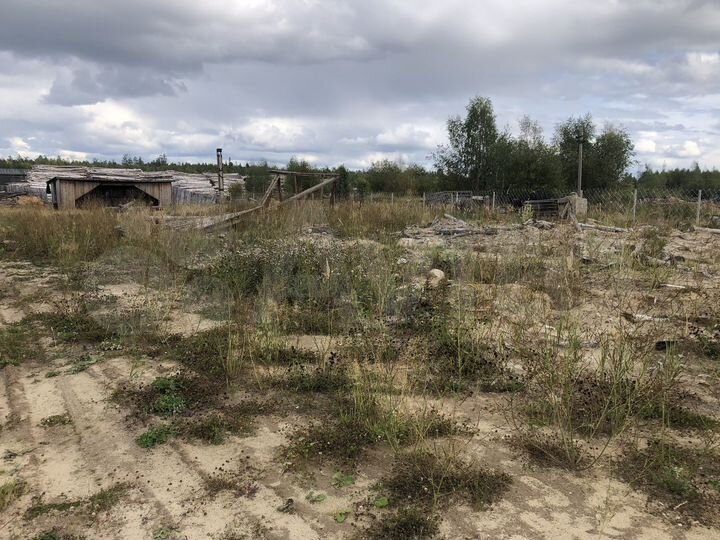 Участок 10 сот. (ИЖС)