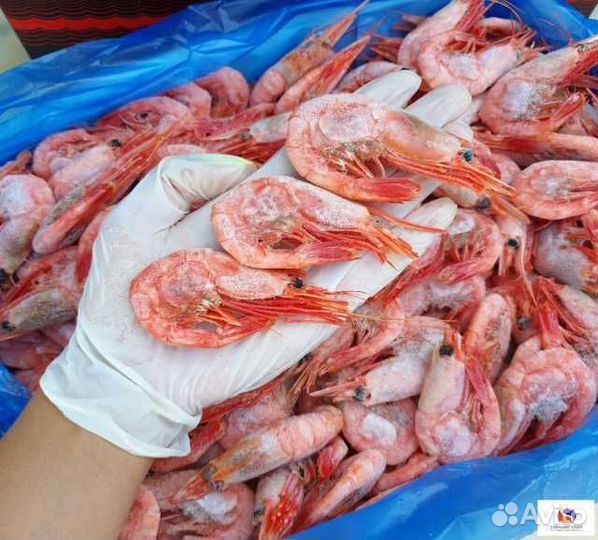 Вахта в Калуге упаковщики креветок