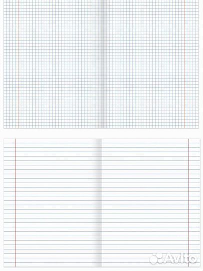 Комплект предметных тетрадей 10 штук 48 листов