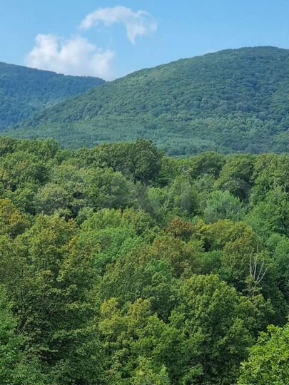 Участок 5,7 га (СНТ, ДНП)