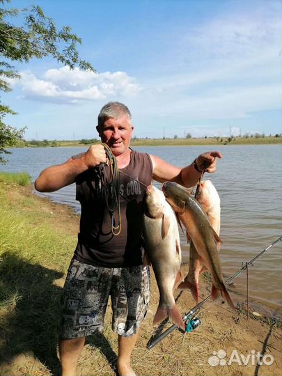 Технопланктон