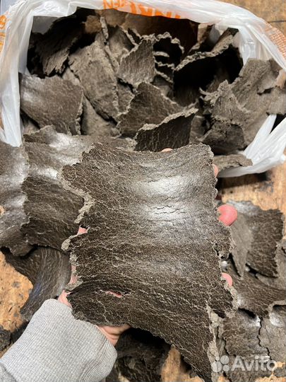 Жмых подсолнечный оптом